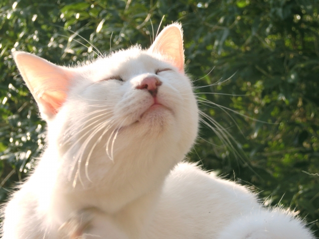 癒されますよ♪