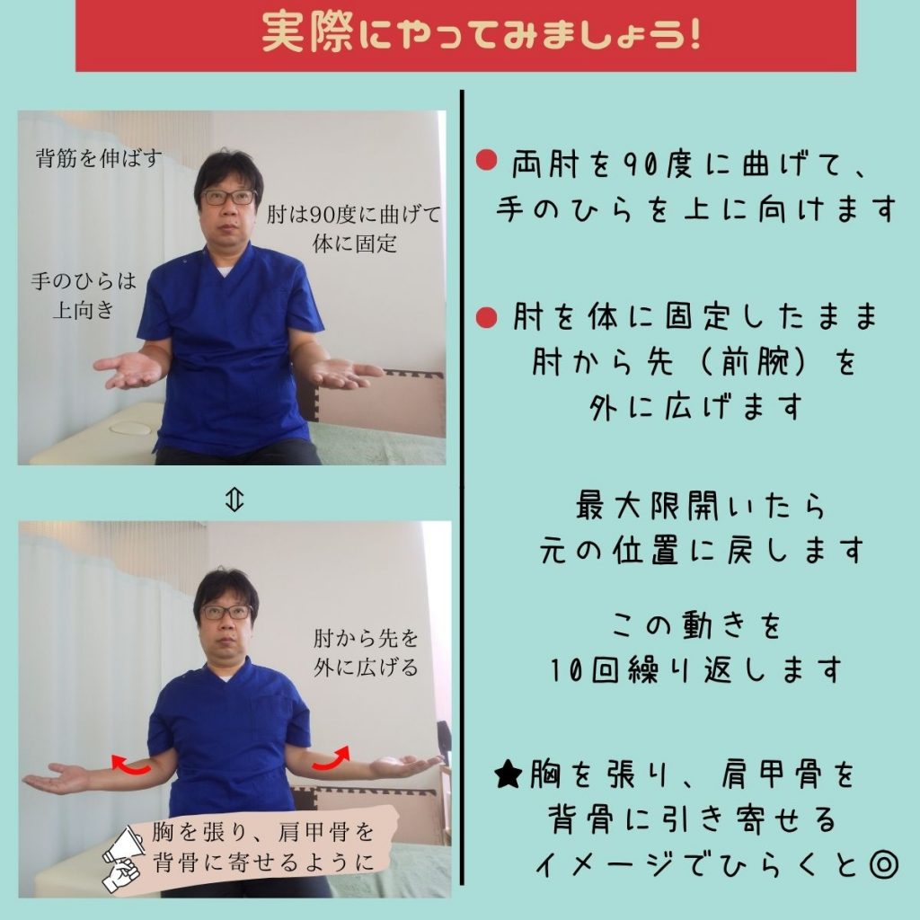 猫背・巻き肩改善の第1歩。肩甲骨体操③