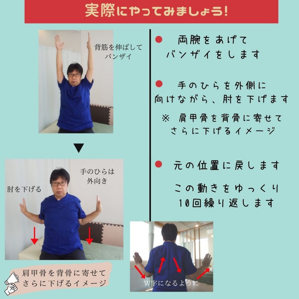 猫背・巻き肩改善の第1歩。肩甲骨体操②